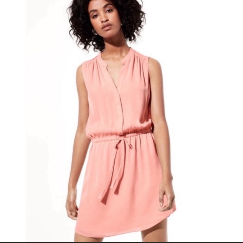 Babaton dress